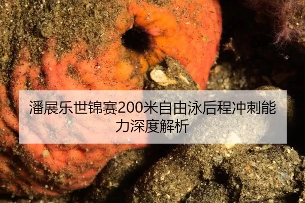 潘展乐世锦赛200米自由泳后程冲刺能力深度解析