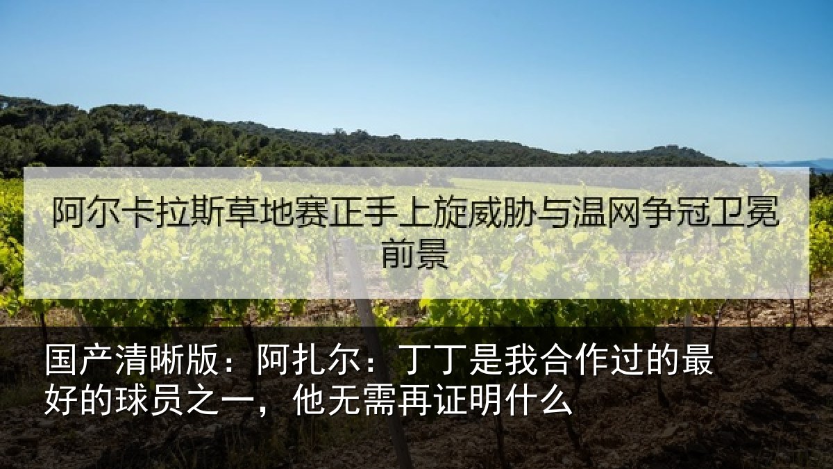 国产清晰版：阿扎相关情况的最相关情况需再证明什么