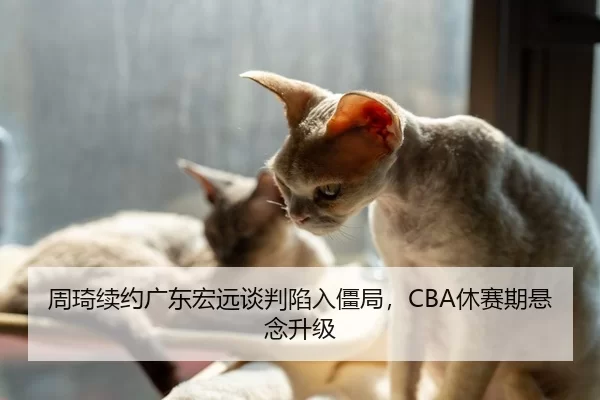 周琦续约广东宏远谈判陷入僵局，CBA休赛期悬念升级